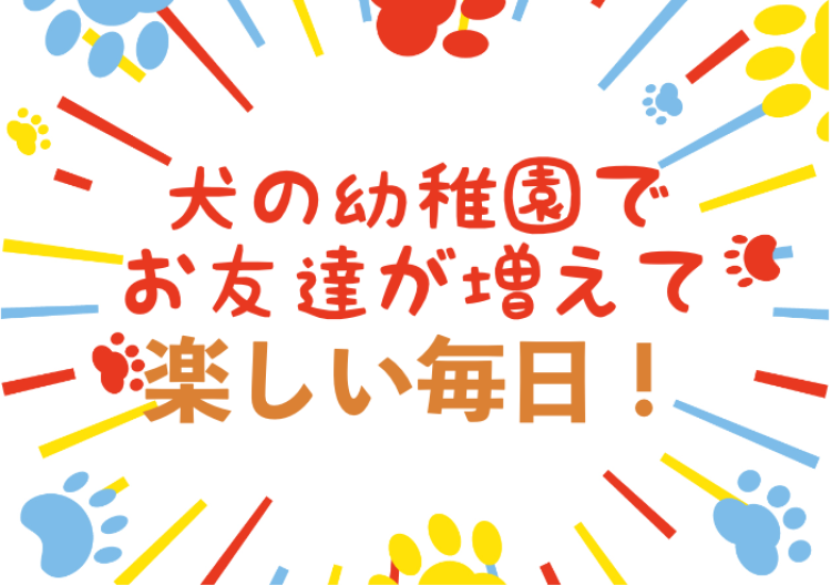 犬の幼稚園でお友達が増えて楽しい毎日！